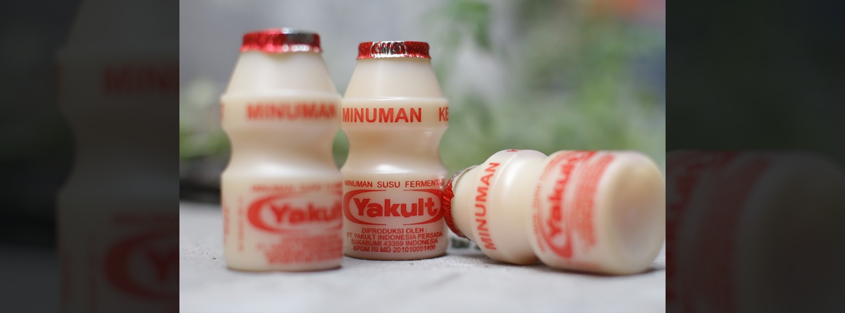 Yakult Unknown Facts,Inspiring Facts about Yakult, Interesting Facts 2019, Yakult Amazing Facts, Yakult Facts, Yakult Facts 2019, Yakult History and Facts,Yakult Lesser Known Facts, Yakult Success Story,Most Interesting Facts, startup stories, Surprising Facts About Yakult