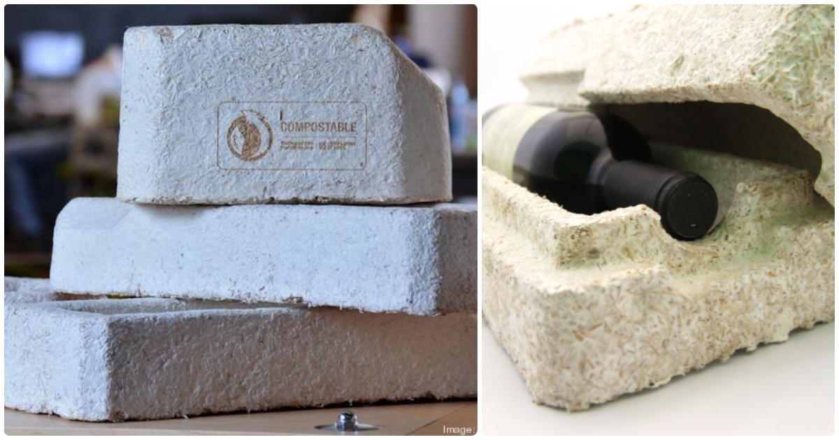 Ecovative Design,Startup Providing Sustainable Alternatives To Plastic,Startup Stories,Replacing Plastic Packaging,13 Plastic Packaging Alternatives,Ecovative Design Founder,Alternatives Plastic,Startup India News